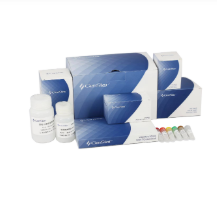 二代反轉錄酶相關產品價格調整