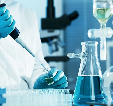 如何證明反轉(zhuǎn)錄第一鏈cDNA成功了？