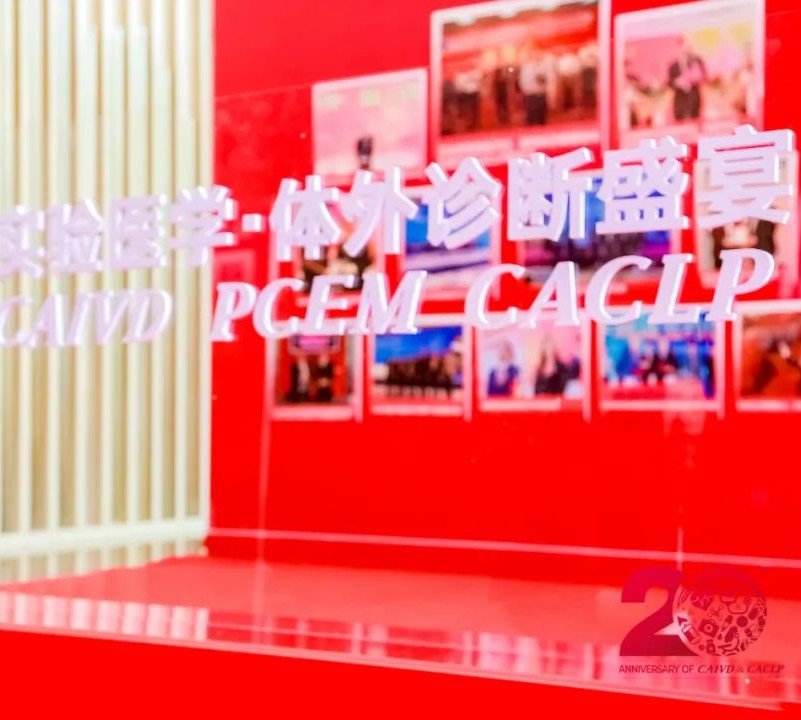 初夏盛會(huì)，精彩回顧