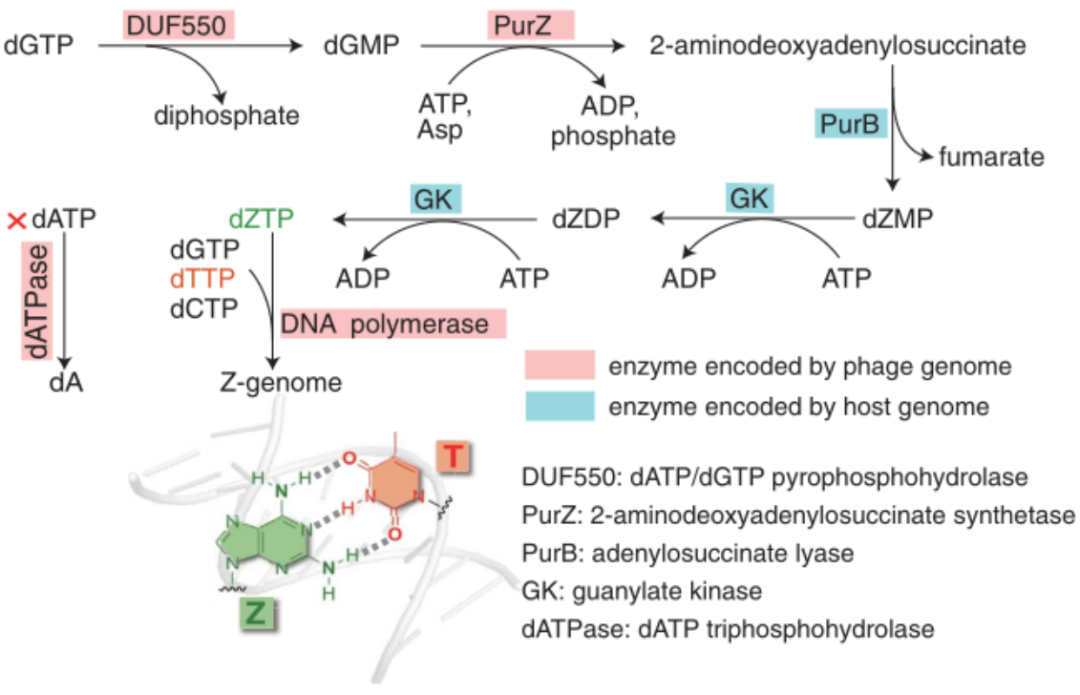 22121201.png 22121201.png
