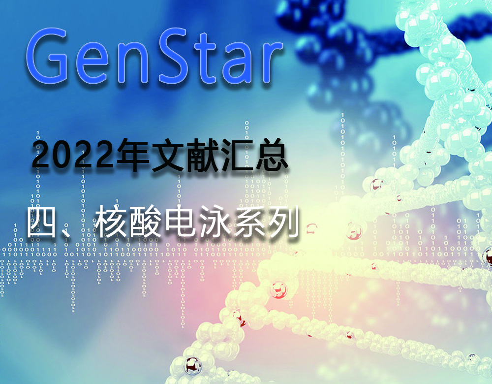 GenStar 2022年文獻匯總（四、核酸電泳系列）